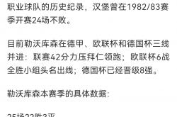 开云平台-勒沃库森主场大胜，提升德甲排名的简单介绍