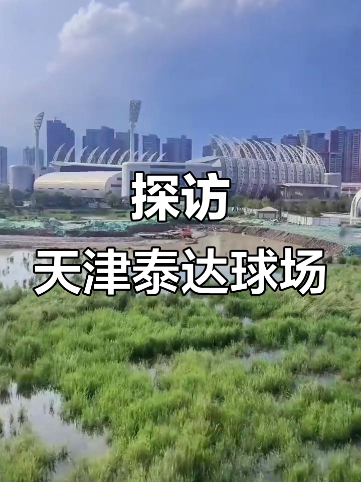 天津泰达主场战胜河南建业，实现胜利