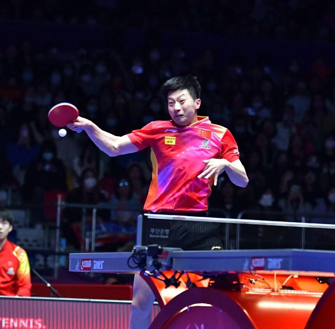 关于波兰乒乓球队横扫韩国乒乓球队，马龙高光表现的信息